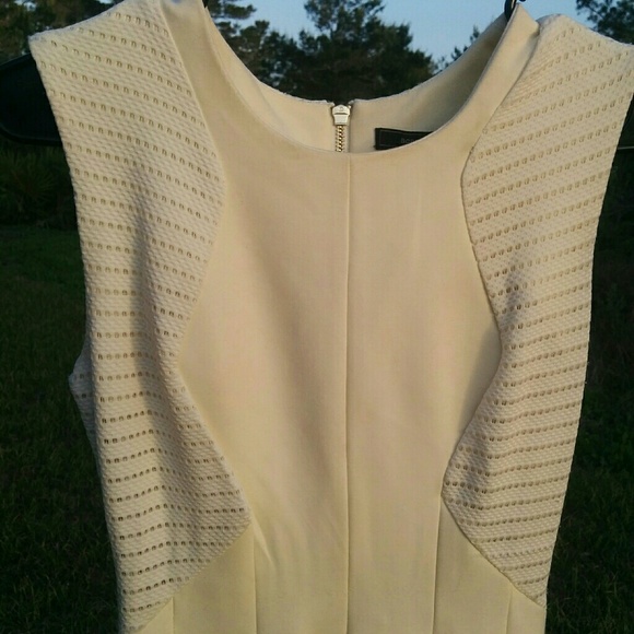 Dress - Picture 7 of 8